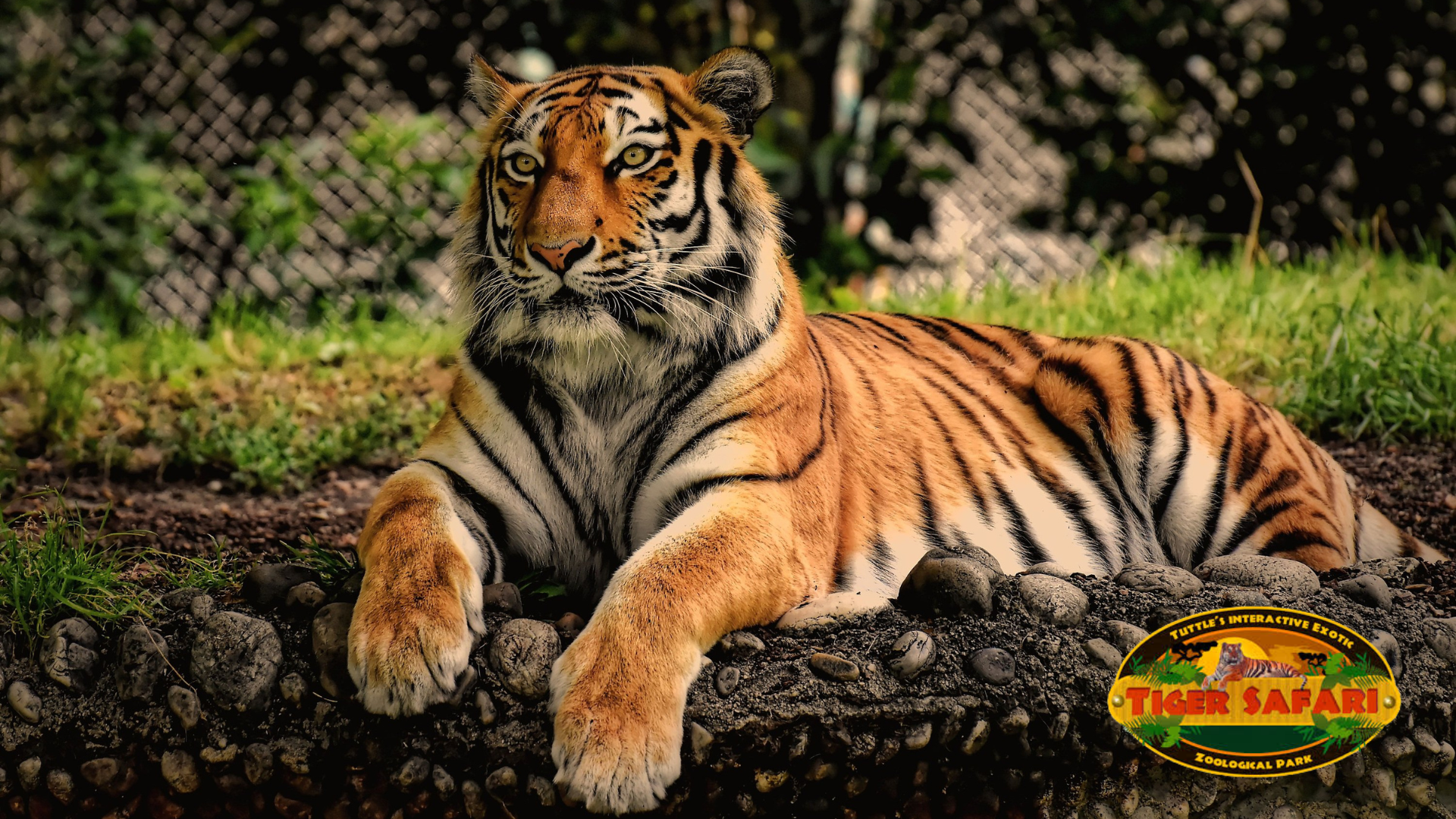 Tiger Safari Zoological Park
