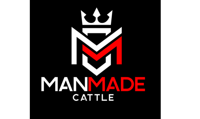 ManMade Cattle